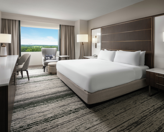 Una de las plantas más altas del hotel-una cama King